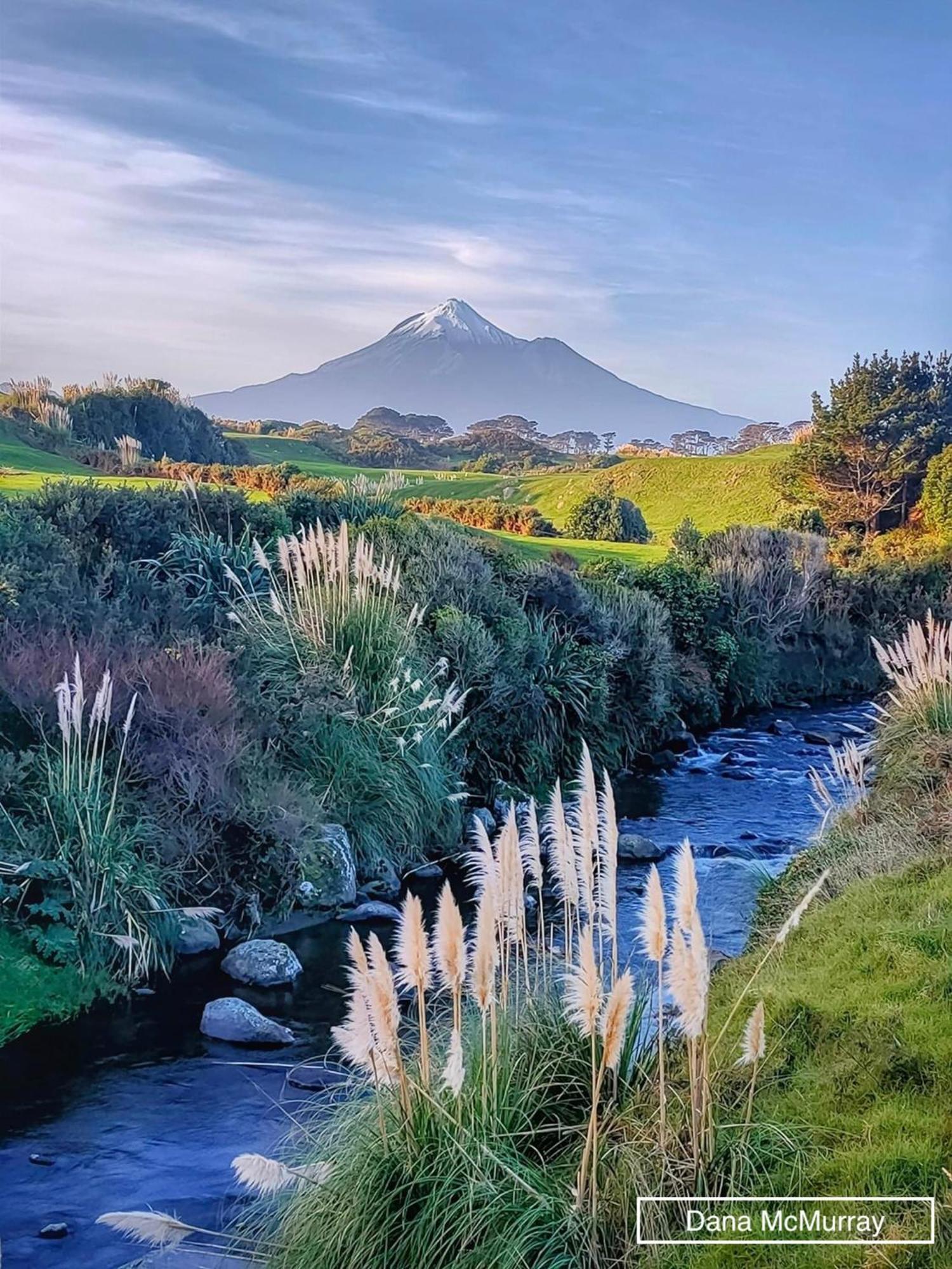 Escape Bed and Breakfast New Plymouth Eksteriør billede